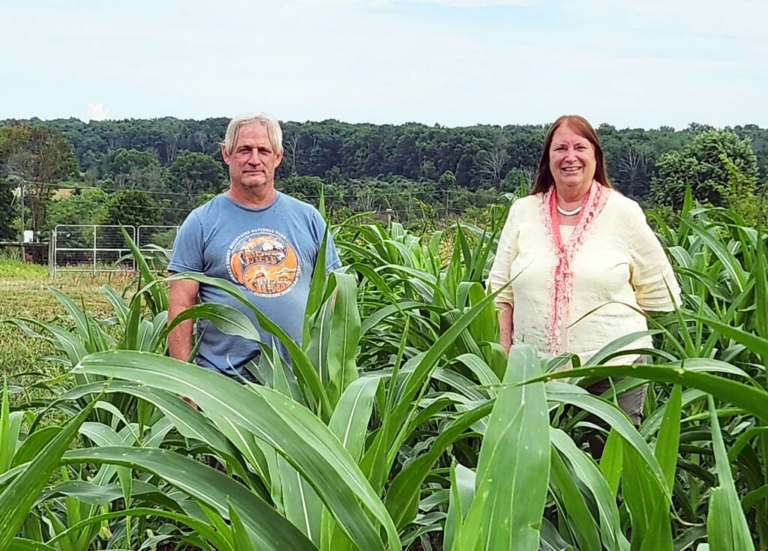 Fields of native corn connect green spaces with Lenape legacy