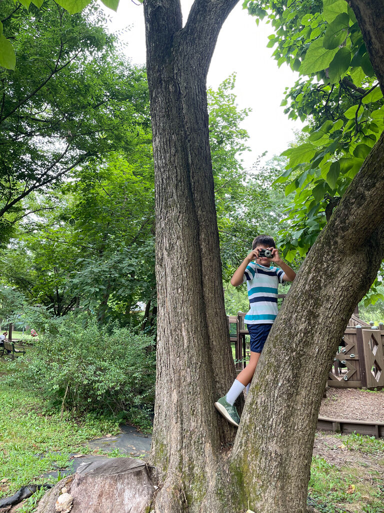 Budding Photographers