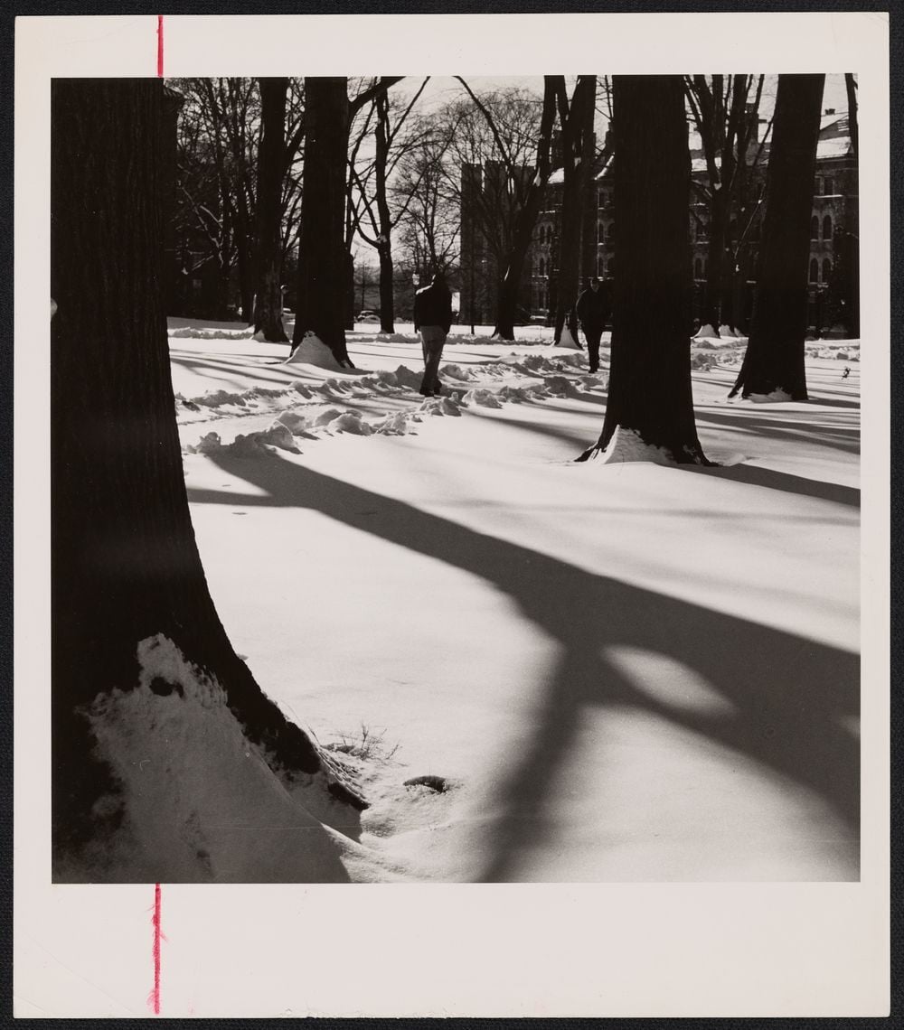 Campus in snow_Menzies.jpeg