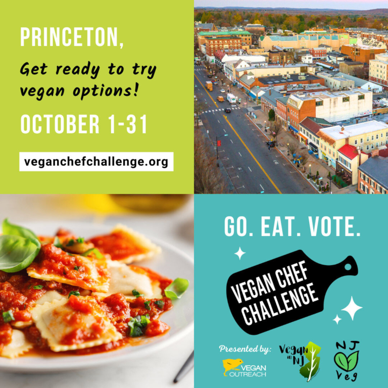 Princeton Vegan Chef Challenge returns