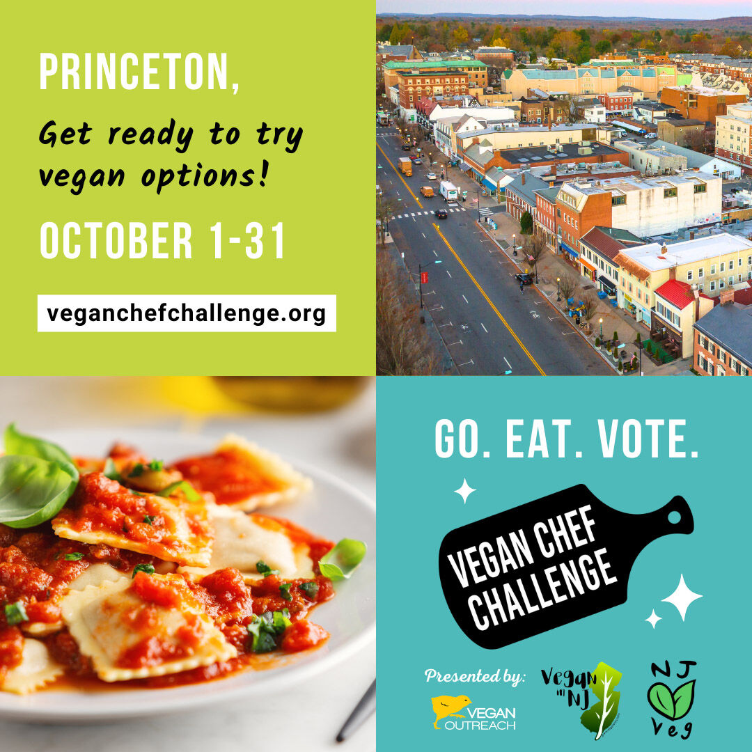 Princeton VCC - General Graphic.jpg