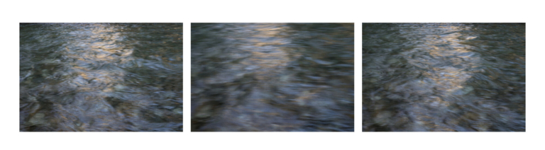 Photographer Resch Presents ‘Nature Eternal’