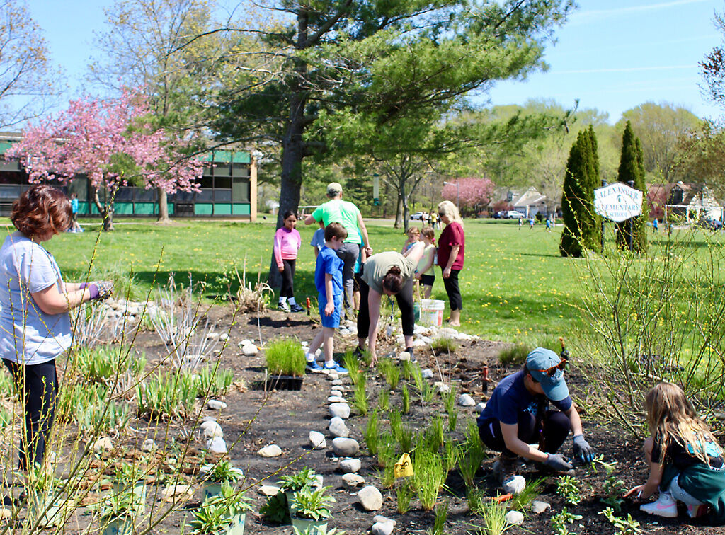 Alexander Elementary School Rain Garden