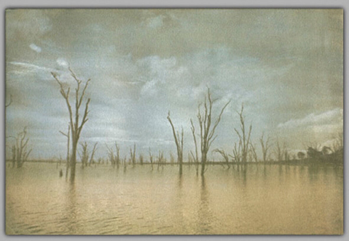 ErnestineRuben - Matusadona #1.jpg