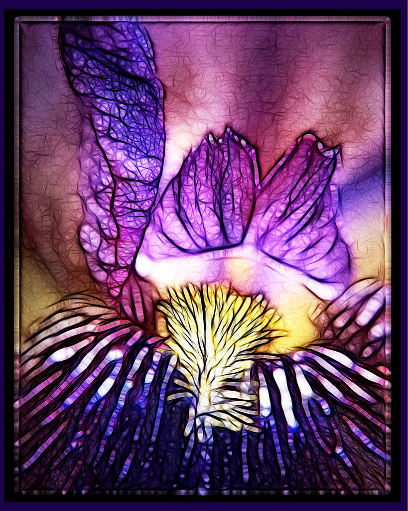 Miller_Charles_Batik Iris.jpg