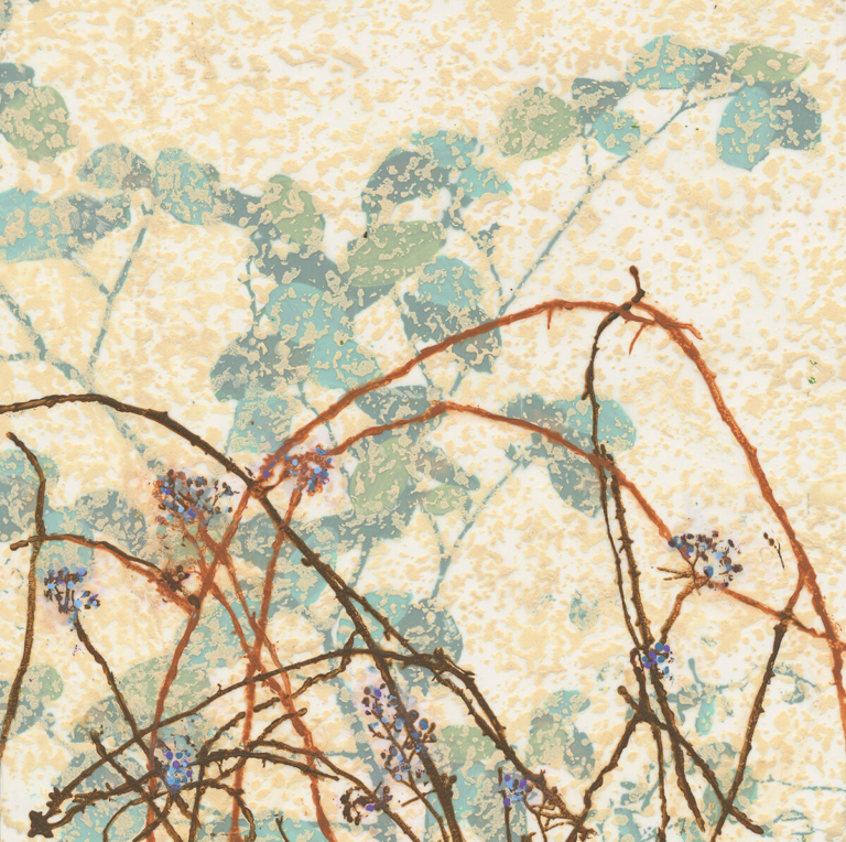 TAWA & Library Present ‘Art and Nature’