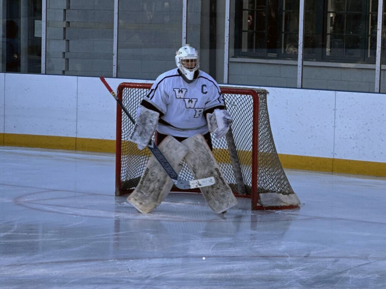 Nad-e-Ali’s play in goal sends WW-P ice hockey to states