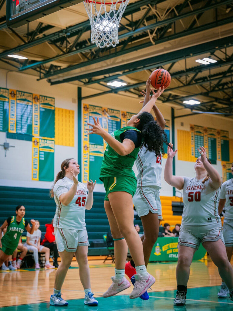 Sophia Latif Estafan.jpg