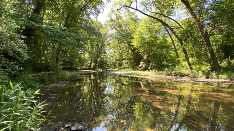 Regional collaboration launched to protect Stony Brook Watershed