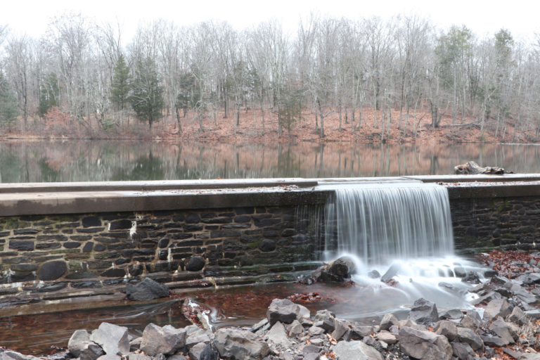 Think Green With These Earth Day Happenings