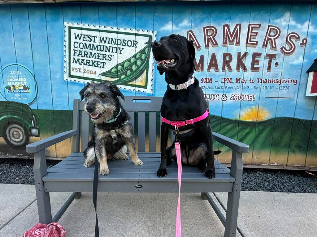 WWCFM farmers market