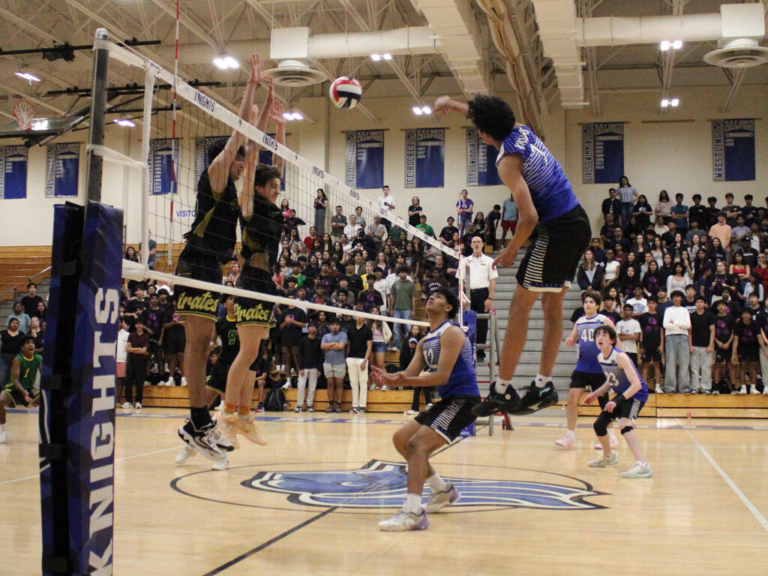 WW-P High School North wins first volleyball division title