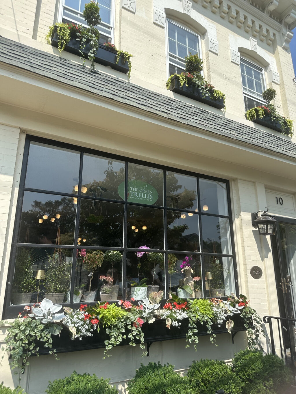 Green Treillis 1.jpeg