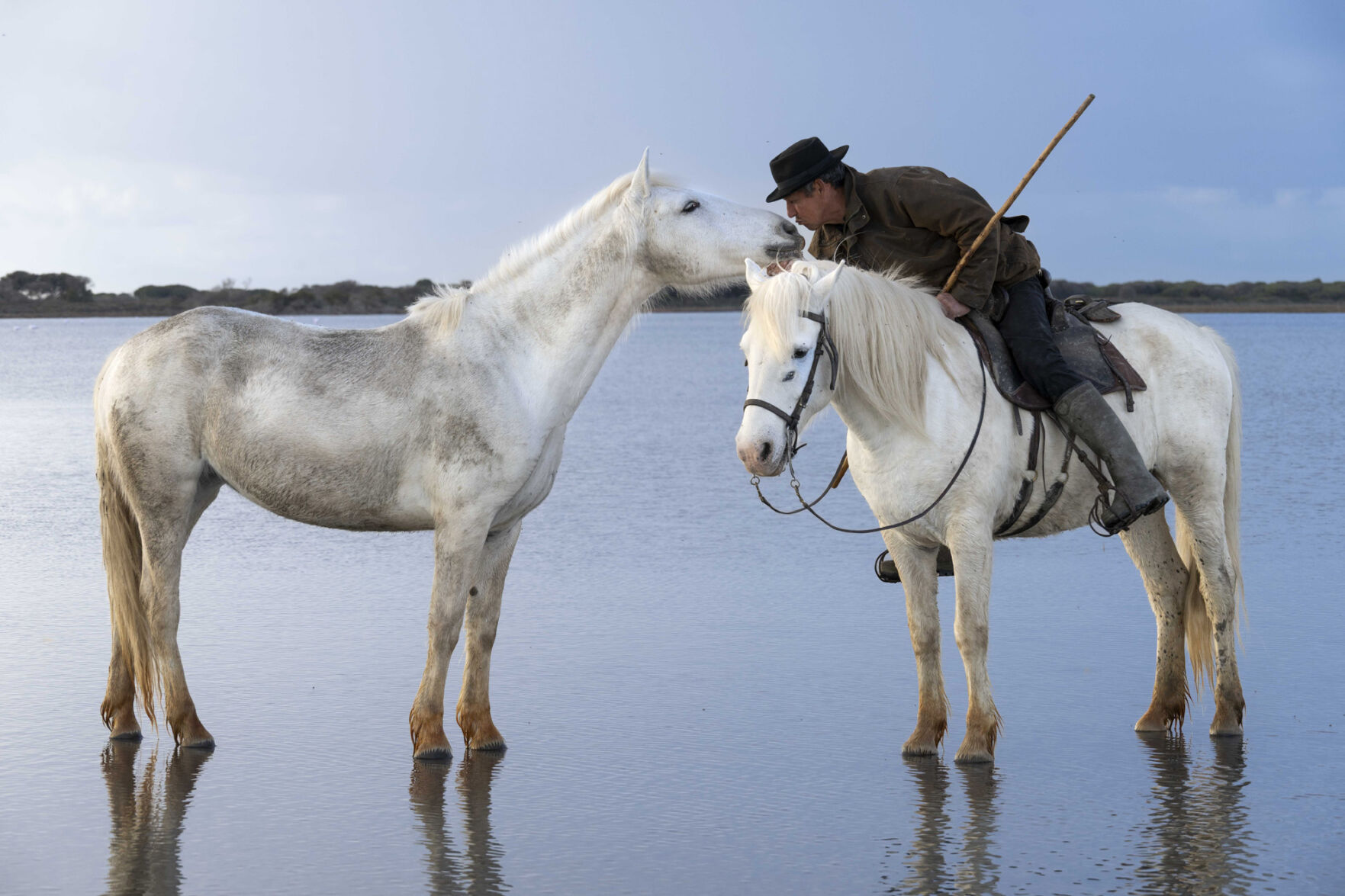 Jill Mudge_MyLovelyFriend.jpg