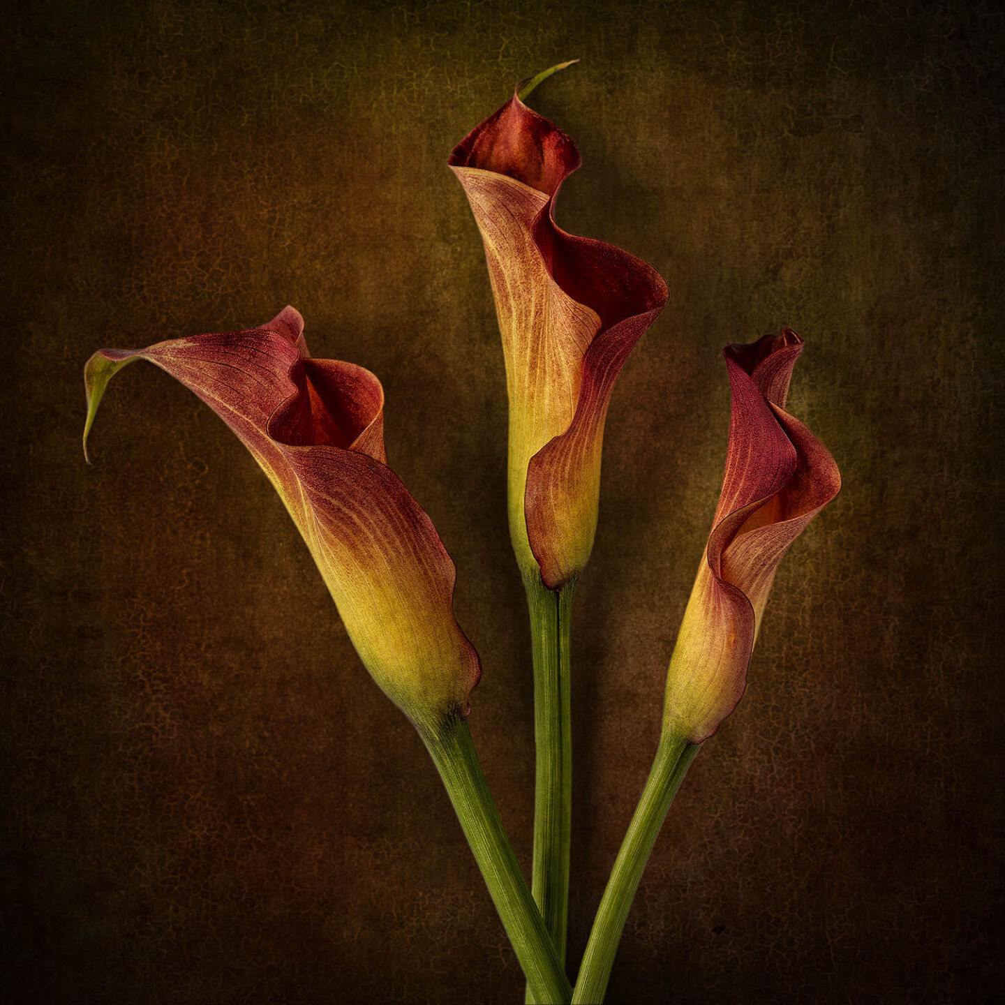 Scott Hoerl_20323 5-15-25 F.jpg