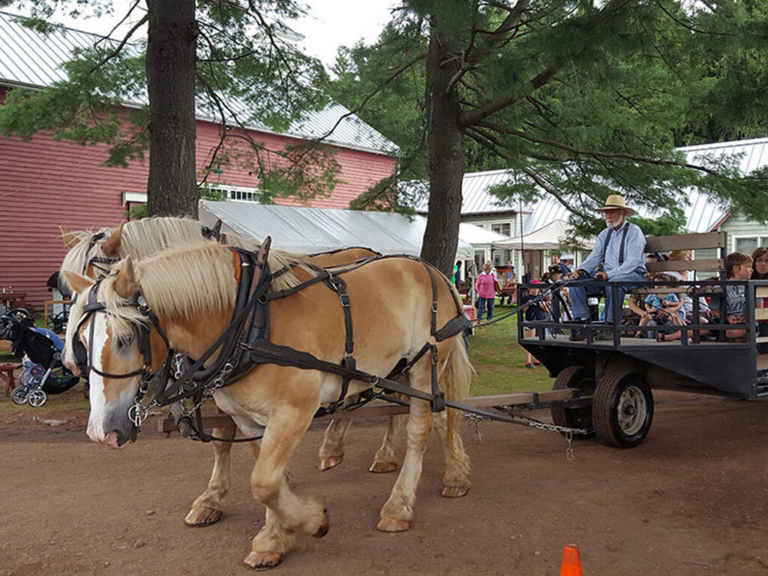 Mercer County 4-H Fair returns to Howell Farm July 26-27