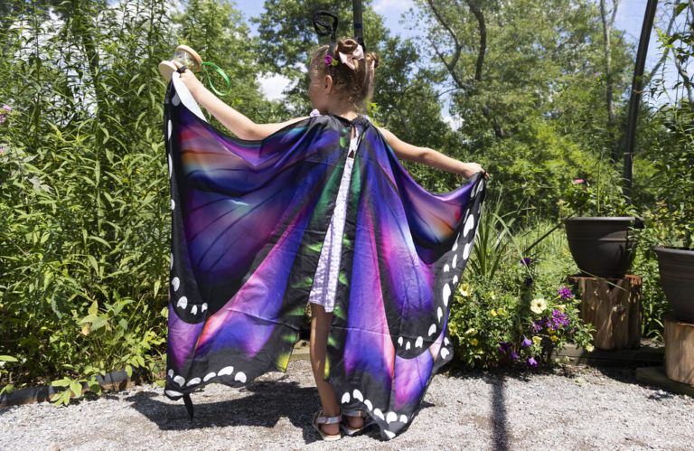 Annual Butterfly Festival set for Saturday, Aug. 2