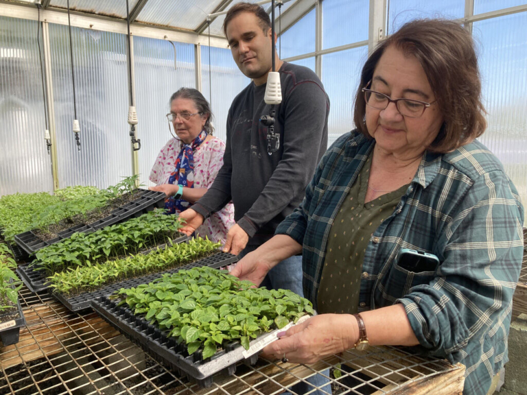 Project Grow continues to flourish through hot summer