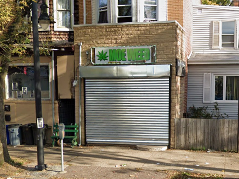 ‘Moe Weed’ shop owner charged with selling marijuana without license