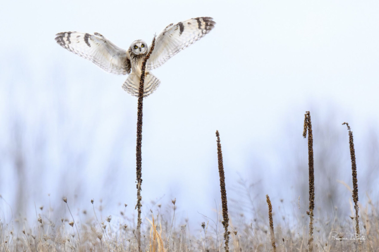 Photo Exhibit Highlights the Beauty of Preservation