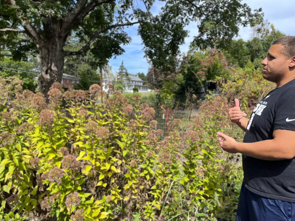 Alex Rivera among joe pye weed.JPEG