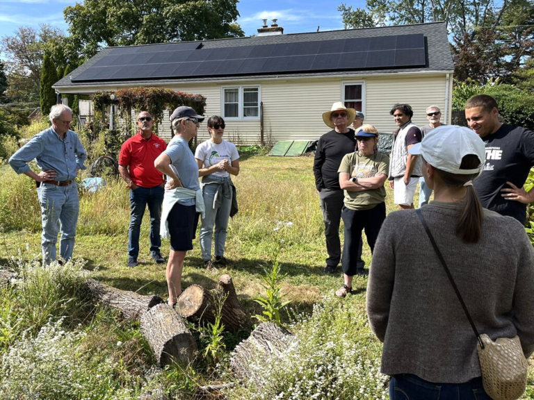 A Ewing yard becomes a haven for wildlife