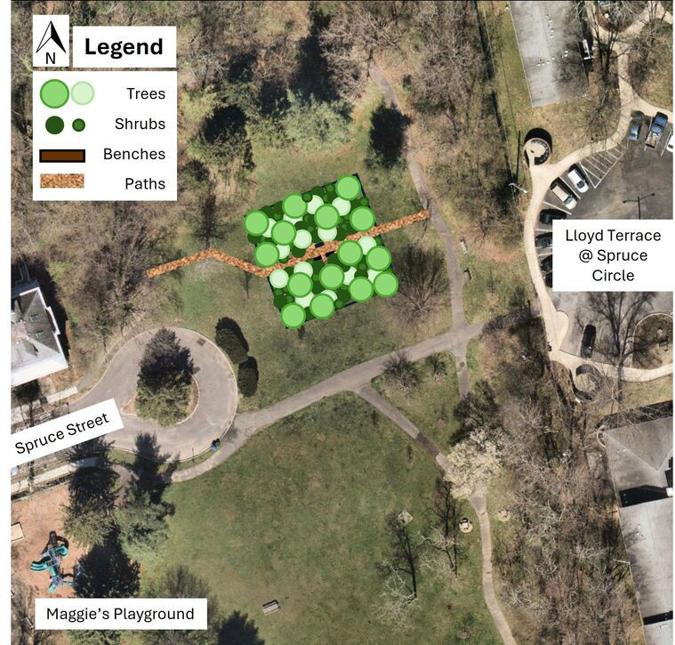quarry microforest.jpg