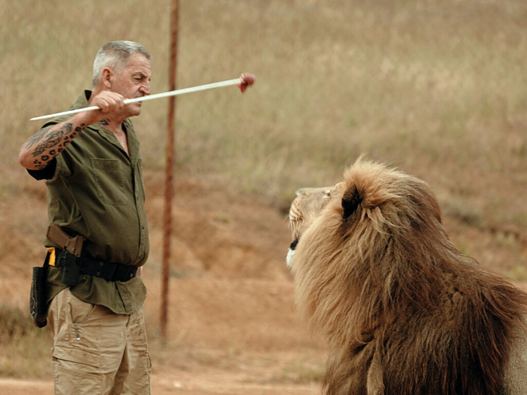 Robbinsville filmmaker documents South Africa’s lion crisis