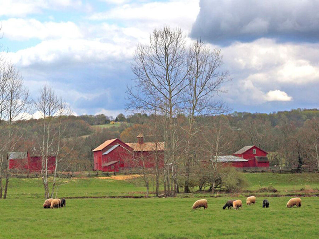 Howell farm_landscape.jpg