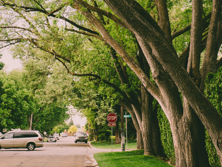Trenton secures $1.5M grant to combat urban heat